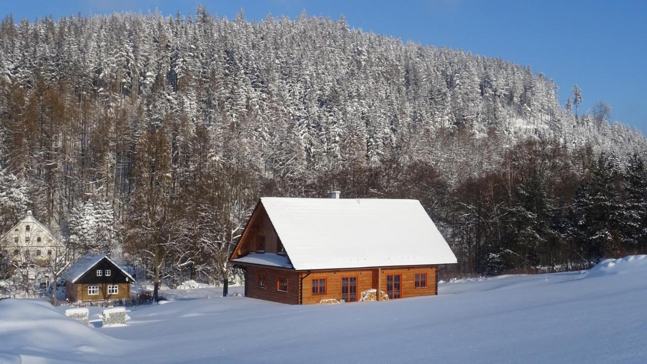 Apartmany Orlice Cervena Voda Luaran gambar
